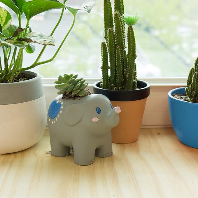 Creative Roots Paint Your Own Elephant Planter by Horizon Group USA Toy