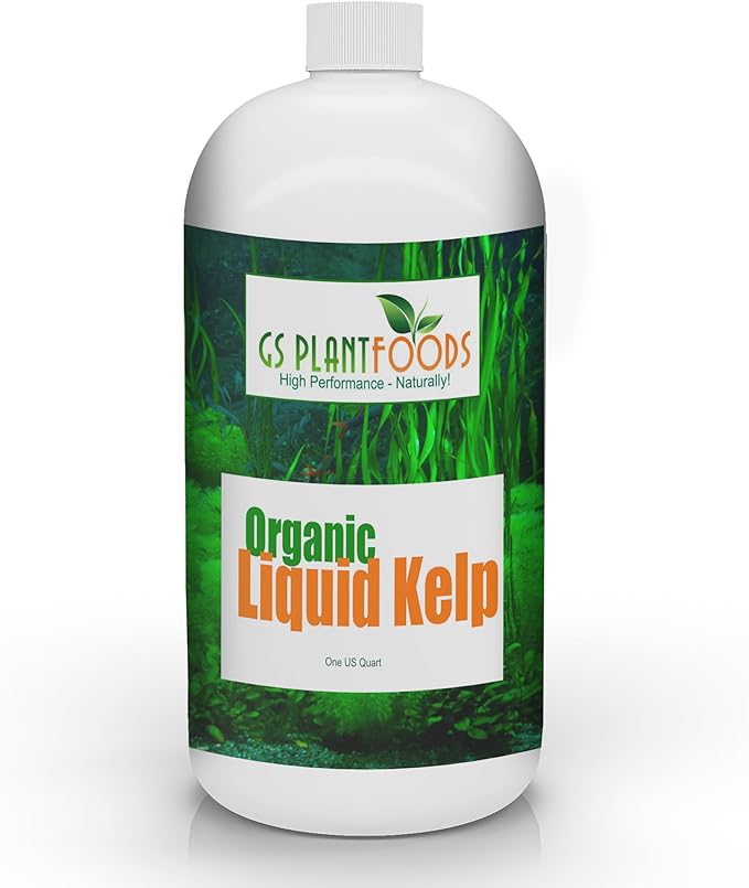 GS Plant Foods Liquid Kelp Fertilizer – Suitable for Organic Growing, OMRI Listed Seaweed Concentrate for Lawns, Gardens & Soil - 1 Quart