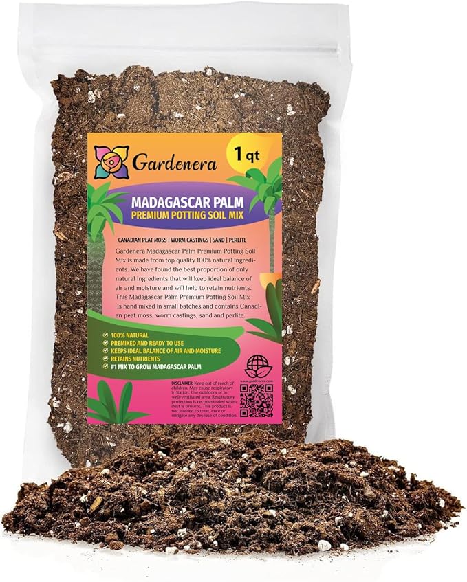 Premium Madagascar Palm Potting Mix - Crafted for Thriving Growth and Unique Elegance - 1 Quart