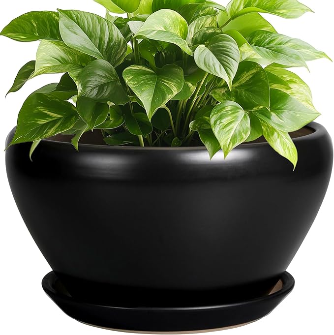 Plant Pot Large 9 Inch - Ceramic Pots for Plants with Drainage Hole and Saucer Round Planter for Indoor Plants Decorative Outdoor Flower Pot Large for House Balcony Black
