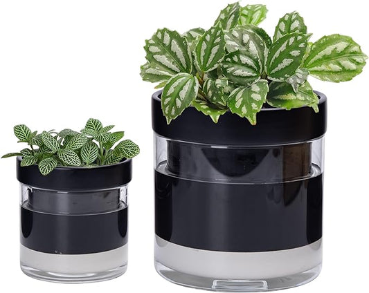 Phoenix Vine 6 Inch 4 Inch Self Watering Terracotta Planter, Black Terracotta Clay Pot with Glass Reservoir for Indoor Plants, Herbs, Flowers, 52-C-G-46