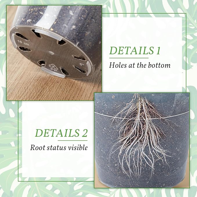 Vesici Large Size Clear Nursery Pots Variety Pack Plant Pots with Drainage Holes Planters for Indoor Plants Flexible Transparent Plastic Plant Bottle Succulents(12 Pcs,5/7/9 Inch)