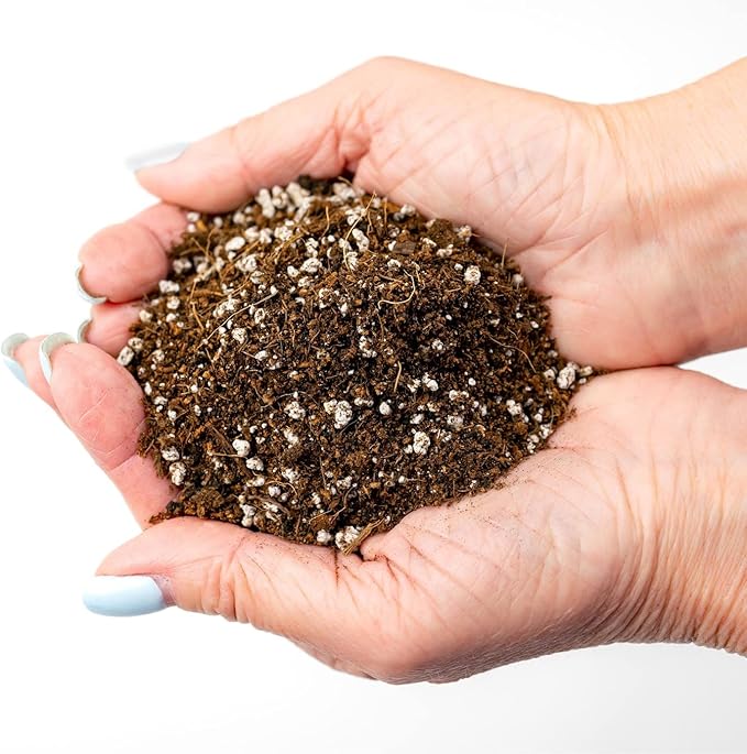 Professional Carnivorous Plant Soil - Ready to Use for Venus Flytraps, Sundews, Pitcher Plants, Butterworts | Peat Moss, Coco Coir, Perlite - 5 Quart Bag