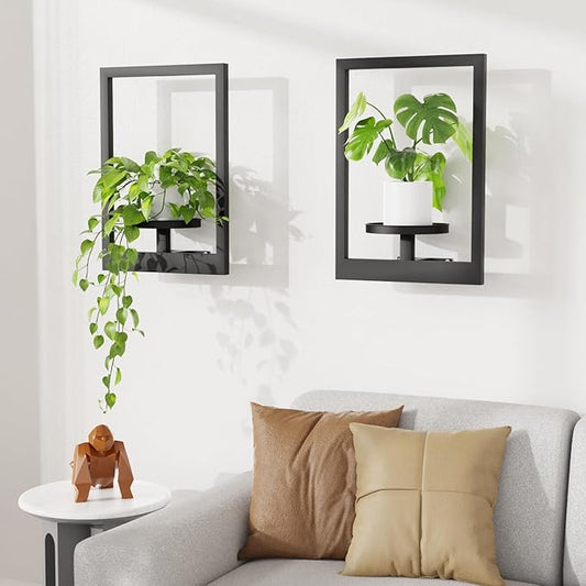 Picture Frame Wall Plant Holder, Metal Window Plant Shelves Plant Holder for Indoor Plants, Hanging Wall Planters Wall-Mounted Plant for Home, Office, and Garden (Black, 2PCS)
