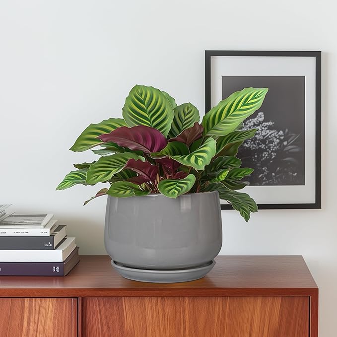 G EPGardening Ceramic Pot for Plants - Modern 6 Inch Round Planter Indoor with Drainage and Tray for Indoor Outdoor Flower, Patio Decor, Teacher Gifts, Grey