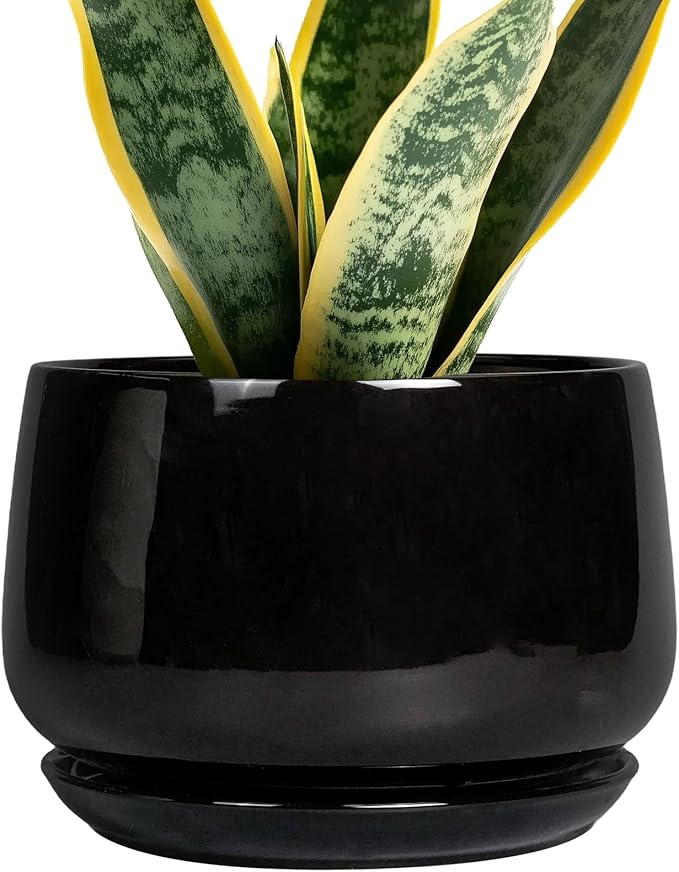 G EPGardening Ceramic Planter 7 Inch - Ceramic Pot for Plants with Drainage and Saucer, Round Plant Pots, Modern Indoor Outdoor Planter, Home Decor, Garden Gifts, Black