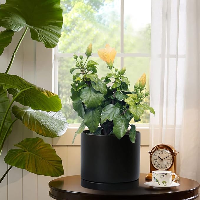 Aveyas 8 inch Ceramic Plant Pot with Drainage Hole and Saucer - Suitable for Indoor and Outdoor Use, Modern Planters for House Garden Flower Tree Snake Monstera Plants (8", Matte Black)