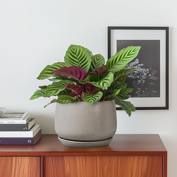 G EPGardening Ceramic Plant Pots - Round 6 Inch Modern Planter with Drainage and Plant Saucer Indoor Outdoor for Flower, Garden Decor, Gifts for Home, Retro Gray