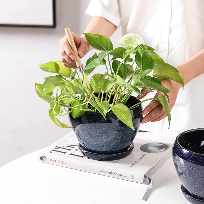 vicrays Ceramic Plant Pots Indoor - 6.5 Inch Planter Pot with Drainage Hole and Saucer for Succulent Orchid Flower Herbs Cactus - Ideal for Gardening Home Desktop Office Decor - Blue