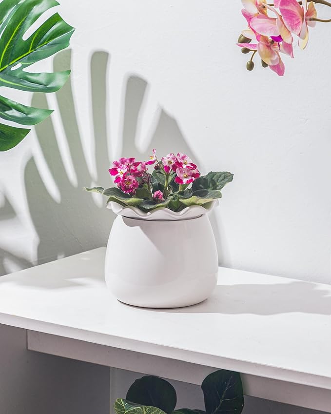 Self Watering Plant Pot, 6 Inch African Violet Pots Maintenance, Ceramic Self-Watering Planter for Indoor Plants - Ideal Flower Pot for Thriving Indoor Gardens