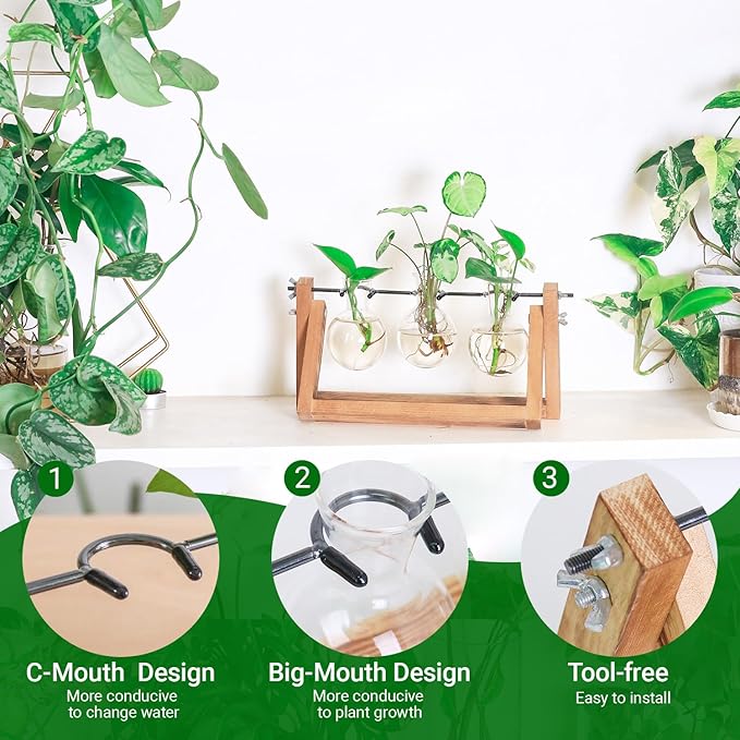 Ivolador I Plant Propagation Station, Bulb Plant Terrarium with Wooden Stand, Unique Gardening Gifts for Women, Hydroponic Indoor Planter, Home Office Garden Wedding Decor - 3 Bulb Glass Vases