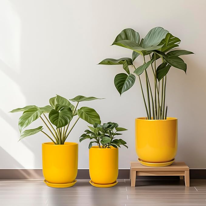 Plant Pot 8 Inch - Ceramic Plant Pot with Drainage Hole and Saucer Large Planter for Indoor Plants Outdoor Modern Flower Pot for Home Garden Decor Yellow