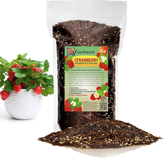 Strawberry Premium Potting Soil Mix - Ideal Blend for Growing Robust and Flavorful Strawberries - 3 Quart