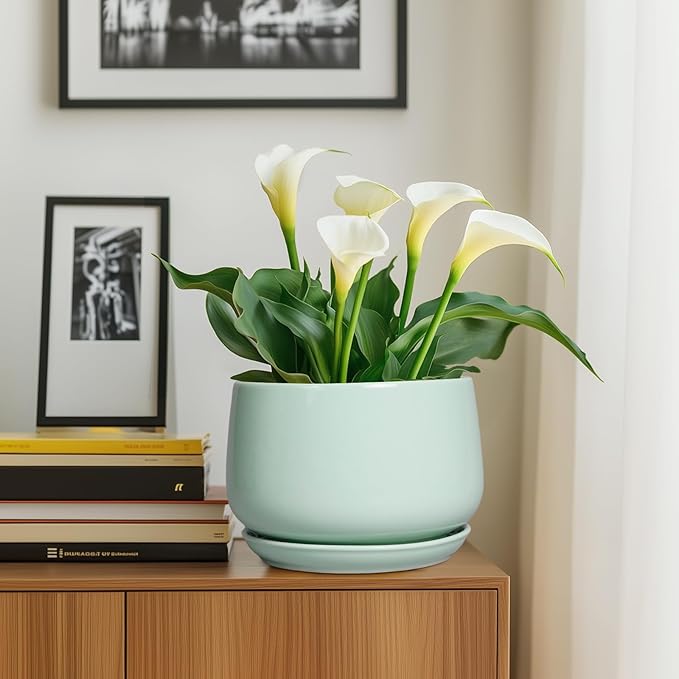 G EPGardening Ceramic Pots for Plants - 9 Inch Ceramic Planter with Drainage and Saucer, Round Planter for Indoor Outdoor Plants, Modern Flower Pots, Garden Decor, Birthday Gifts, Green