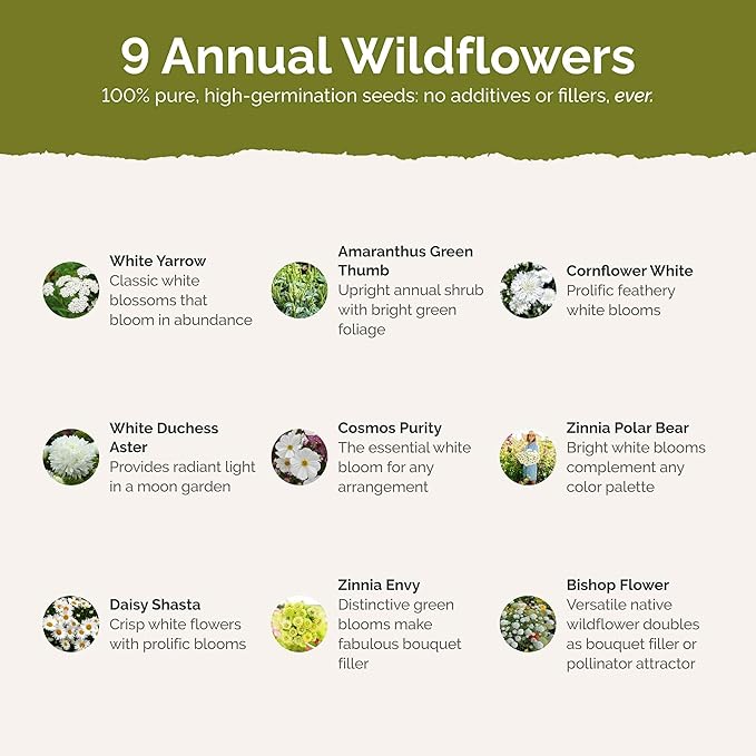 Eden Brothers Green with Envy Flower Mixed Seeds for Planting, 1 lb, 480,000+ Seeds with White Yarrow, Cornflower White | Attracts Pollinators, Plant in Spring or Fall, Zones 3, 4, 5, 6, 7, 8, 9, 10