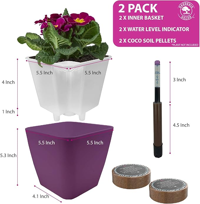 GARDENIX DECOR 5" Self Watering pots for Indoor Plants - Flower Pot with Water Level Indicator for Plants, Grow Tracking Tool - Self Watering Planter Plant Pot – 2 Pack Purple