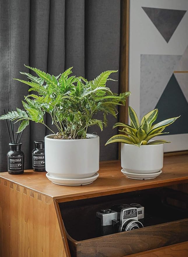 LE TAUCI Plant Pots Indoor, 4.3+5.3+6.8 Inch, Set of 3, Ceramic Planters with Drainage Hole and Saucer, Modern Indoor Flower Pot with Hole Mesh Pad, Gifts for Mom, Classic White