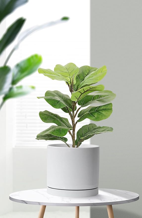 Aveyas 8 inch Ceramic Plant Pot with Drainage Hole and Saucer - Suitable for Indoor and Outdoor Use, Modern Planters for House Garden Flower Tree Snake Monstera Plants (8", Glossy White)