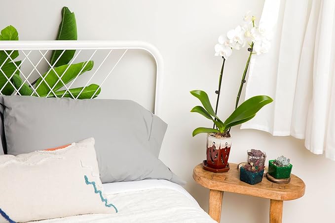 rePotme 4 x 6 inch Ceramic Orchid Pot (Cream Over Garnet) - Hexagon Orchid Pot with Holes