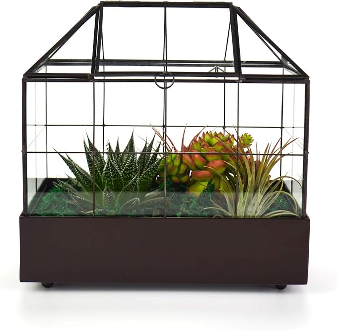 Large Tall Plant Terrarium Glass Greenhouse with Lid and Tray, Indoor Tabletop Orchid Succulent Cacti Kit 9.5'X9.8'X5.6'