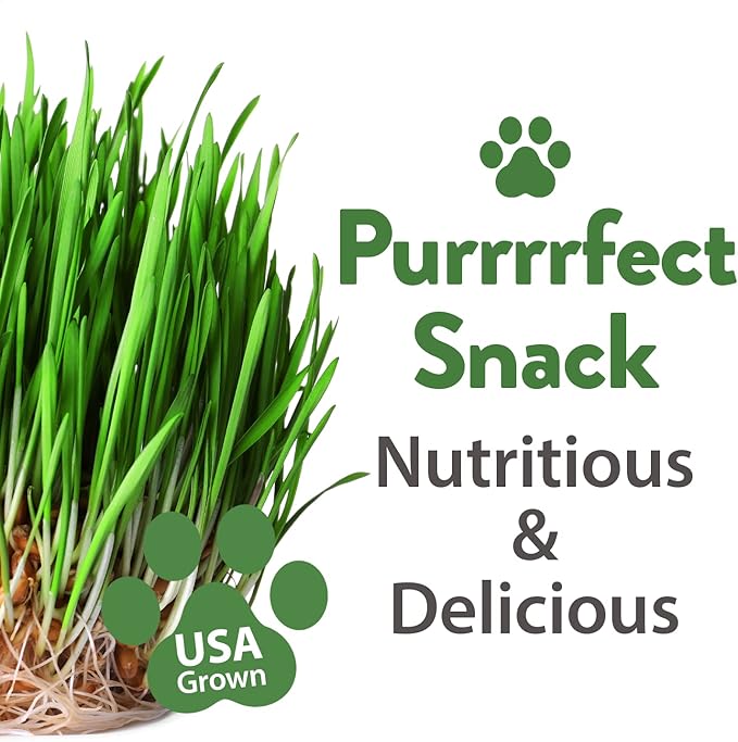 HOME GROWN 3200+ Cat Grass – 𝗡𝗢𝗡-𝗚𝗠𝗢 𝗨𝗦𝗔 Grown Catnip, Alfalfa, Oat, Cat Grass Mix – Indoor Cat Grass Kit Refill – High-Germination Pet Grass for Hairball Relief & Digestion