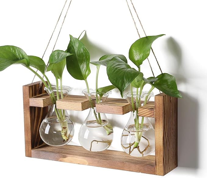 Plant Propagation Station Plant Terrarium Unique Birthday Gifts for Women Plant Lovers Home Office Decor Planter with Wooden Stand - 3 Bulb Glass Vase