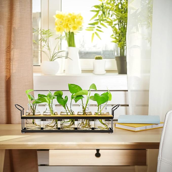 THYGIFTREE Plant Propagation Stations with Metal Stand, Tabletop Plant Terrarium for Propagating Hydroponic, Retro Glass Planter Flower Vase Home Kitchen Office Decor, Plant Lover Gifts, 5 Jars