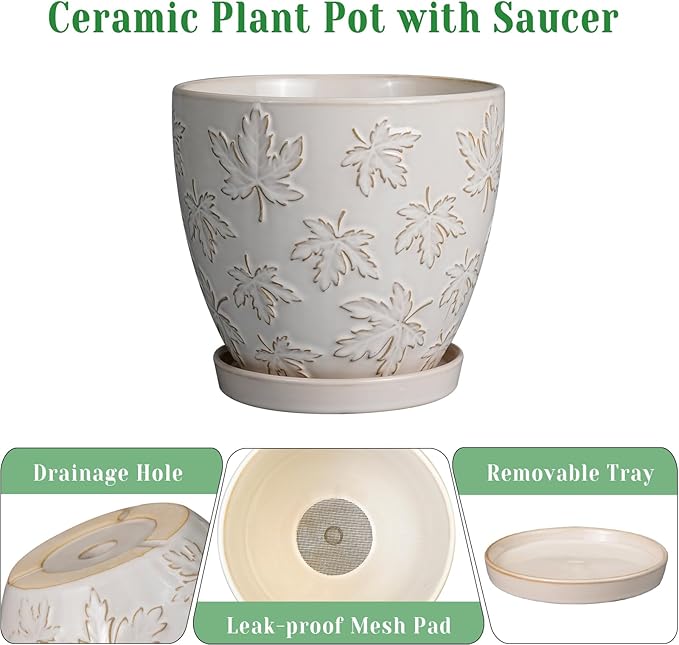 Ceramic Plant Pot 6 Inch - Ceramic Planter with Drainage Hole and Saucer Round Planter Flower Pot for Indoor Plants Outdoor Home Garden Office Decor White