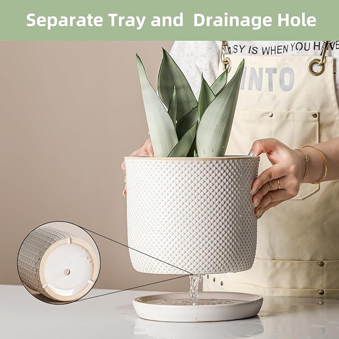 8 Inch Plant Pots: Ceramic Planter with Drainage Hole & Saucer - Flowerpot for Indoor & Outdoor Plants - Beaded Embossed Design White - with Separate Tray