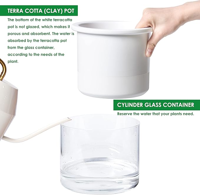 Phoenix Vine 6 Inch 4 Inch Self Watering Planter Pots, Design White Terracotta Pots for Plants, Indoor Cylinder Terra Cotta Pots with Glass Vase Set, 51-B-G-46