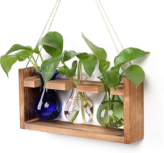 Plant Propagation Station Plant Terrarium Unique Birthday Gifts for Women Plant Lovers Home Office Decor Planter with Wooden Stand - 3 Bulb Glass Vase
