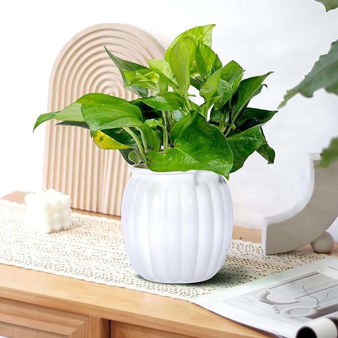 Small Hanging Planters Self Watering 5 Inch, 3 Set Hanging Plant Pot for Indoor Outdoor Plants, Hanging Flower Pots with Drainage Hole & 2 Kinds of Plant Hangers for Garden Home Decor