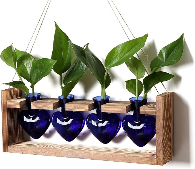 Plant Propagation Stations Heart Plant Terrarium Kit Gift for Women Plant Lover Glass Vases