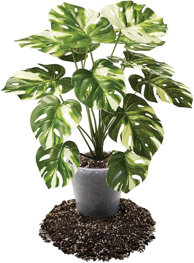 Premium Aroid Potting Mix - 20 Quart - Soil Free Blend for Aroids - Growing Medium for House Plants by Gardenera - (4 Bags of 5 Quart)