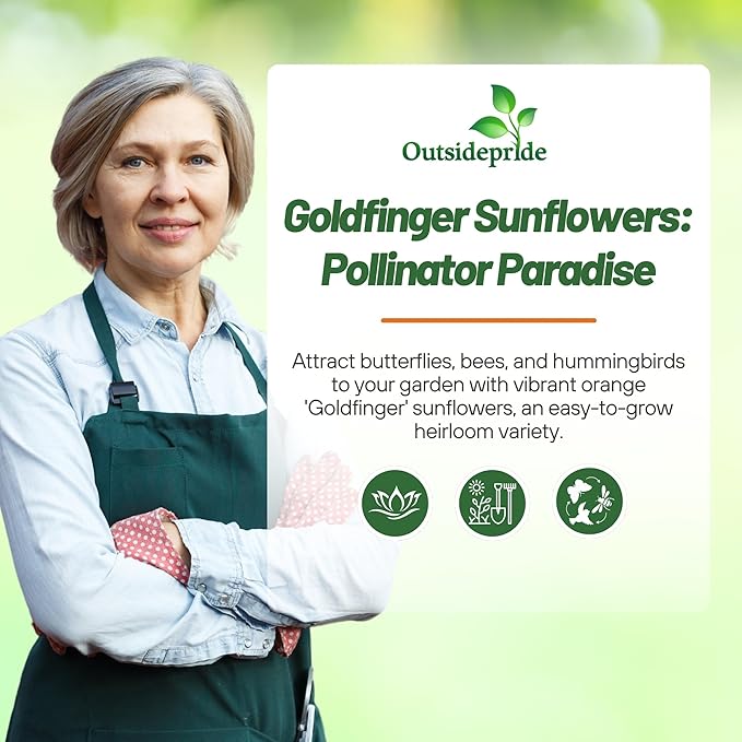 Outsidepride Goldfinger Mexican Sunflower Seeds - 1000 Pcs Annual, Easy-to-Grow, Orange Tithonia Speciosa Flower Seeds w/Drought-Tolerant Blooms for Pollinator Gardens & Vibrant Summer Landscaping