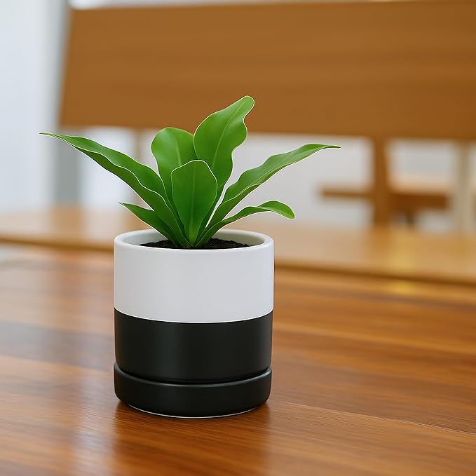 D'vine Dev 3.5 Inch Ceramic Planter Pot with Drainage Hole and Saucer, Indoor Cylinder Round Planter Pot, Layered Monochrome Black & White, 94-O-A-L