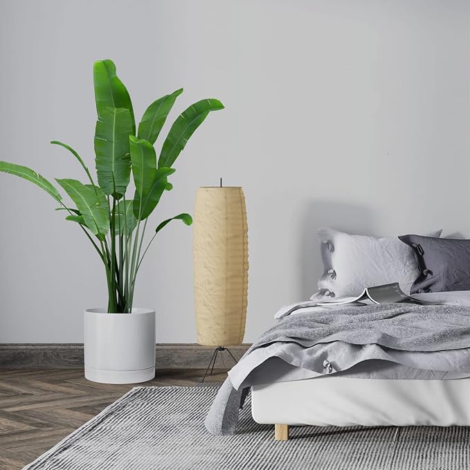 Aveyas 10 inch Ceramic Planter Pot with Drainage Hole and Saucer - Suitable for Indoor and Outdoor Use, Modern Planters for House Garden Flower Tree Snake Monstera Plants (10", Glossy White)