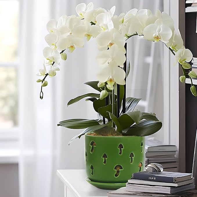 KERUITA Orchid Pots with Holes, 6 inch + 5 inch Orchid Planters with Dancing Mushroom Shaped Holes, Enhanced Drainage and Ventilation,Green Flower Pots for Indoor/Outdoor Plants for Repotting