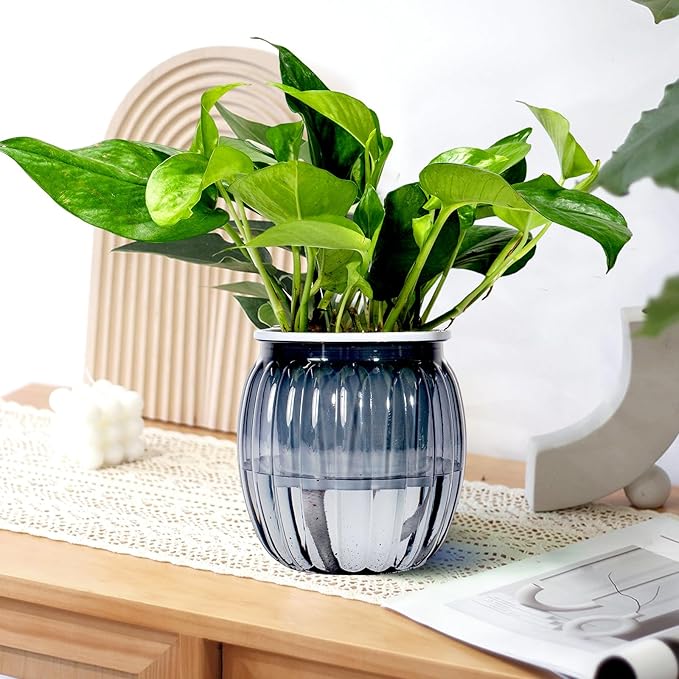 Small Hanging Planters Self Watering 5 Inch, 3 Set Hanging Plant Pot for Indoor Outdoor Plants, Hanging Flower Pots with Drainage Hole & 2 Kinds of Plant Hangers for Garden Home Decor