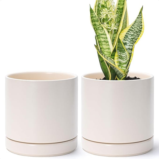 D'vine Dev Set of 2 Plants Pots, 6.5 Inch Ceramic Planter Pot for Plants with Drainage Hole and Saucer, Oatmeal, 94-V-C-8