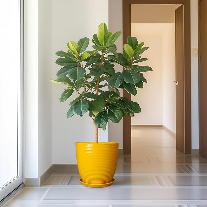 12 Inch Pots for Plants - Ceramic Planter for Indoor Plants Large Plant Pot with Drainage Hole and Saucer Round Outdoor Flower Pot for Garden Home Patio Office Yellow