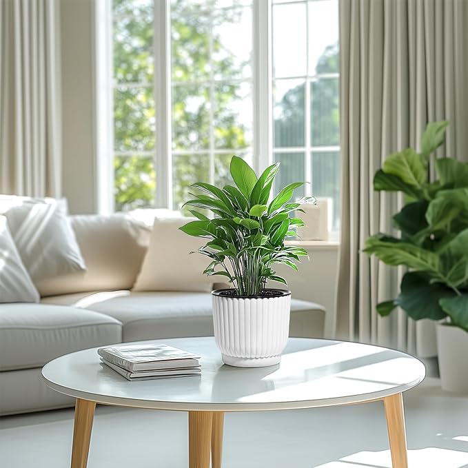 T4U 6 Inch Self Watering Pots for Indoor Plants, 6 Pack White Plastic Flower Pots for All House Plants, Flowers, African Violets