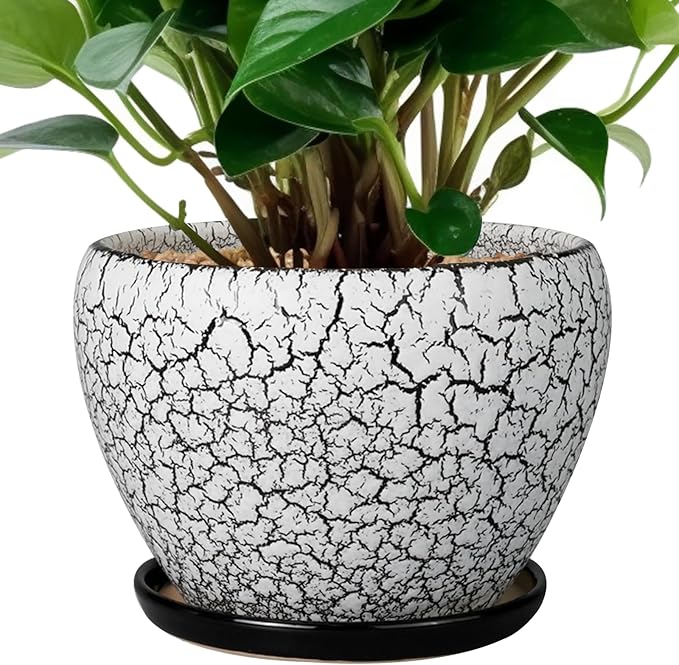 Ceramic Planter Pot - 6 Inch Plant Pot with Drainage Hole and Saucer, Succulent Pot Glaze Round for Indoor Outdoor Plants, White and Black