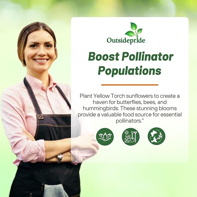 Outsidepride Yellow Torch Mexican Sunflower Seeds - 500 Pcs Annual, Easy-to-Grow, Yellow Tithonia Speciosa Flower Seeds w/Drought-Tolerant Blooms for Pollinator Gardens & Vibrant Summer Landscaping