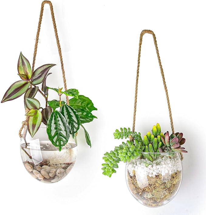Wall Hanging Glass Planter Air Planter Terrarium Vase Propagation Stations for Hydroponic Plants, Succulent Moss Tillandsias Air Plants Globe,Home Office Garden Decor, Set of 2