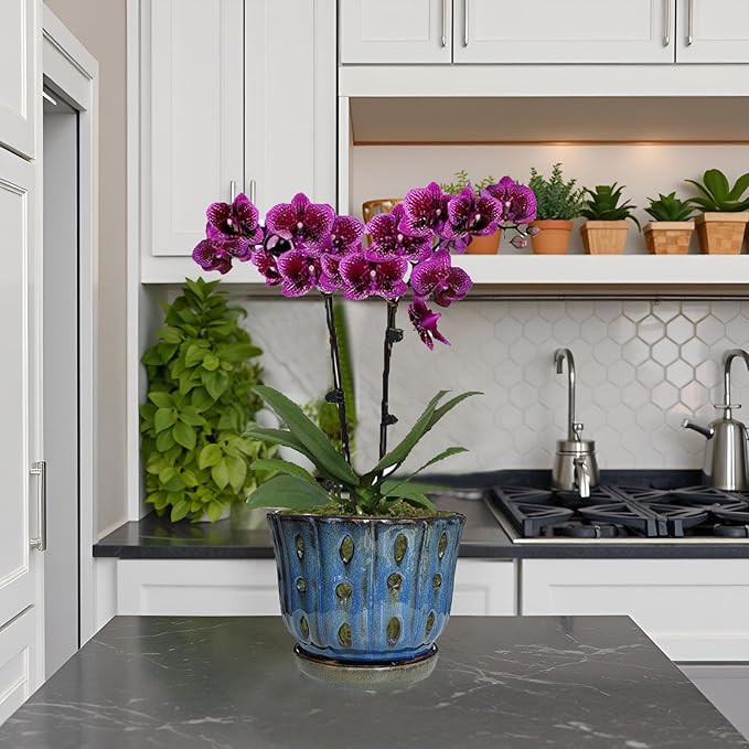 6 inch Round Ceramic Orchid Pot with Holes Orchid Planter (Dark Blue)