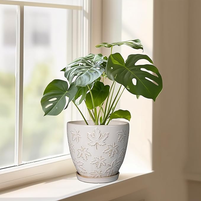 Ceramic Pots for Plants - 8 Inch Plant Pot with Drainage Hole and Saucer Large Planter Pot for Indoor Plants Outdoor Modern Flower Pot Home Decor White