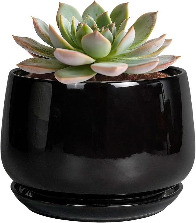 G EPGardening 6 Inch Planter - Ceramic Pot for Plants, Ceramic Planter with Drainage and Saucer, Round Flower Pot Indoor Outdoor, Modern Room Decor, Home Gifts, Black
