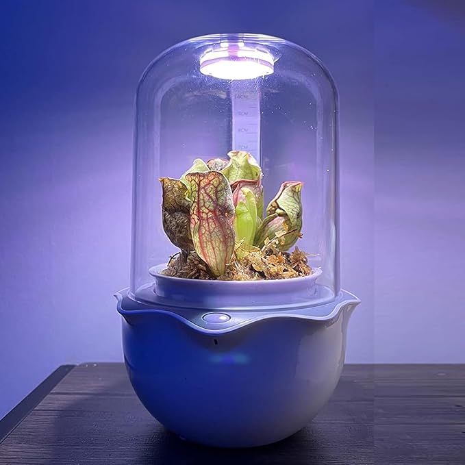 Smart Venus Fly Trap Terrarium Pot with Timer&Fan,Succulent Planter with Grow Light,Indoor Plant Pots Terrarium with Drainage Hole for Carnivorous Plants,Sundew Moss,Cactus(No Plant)