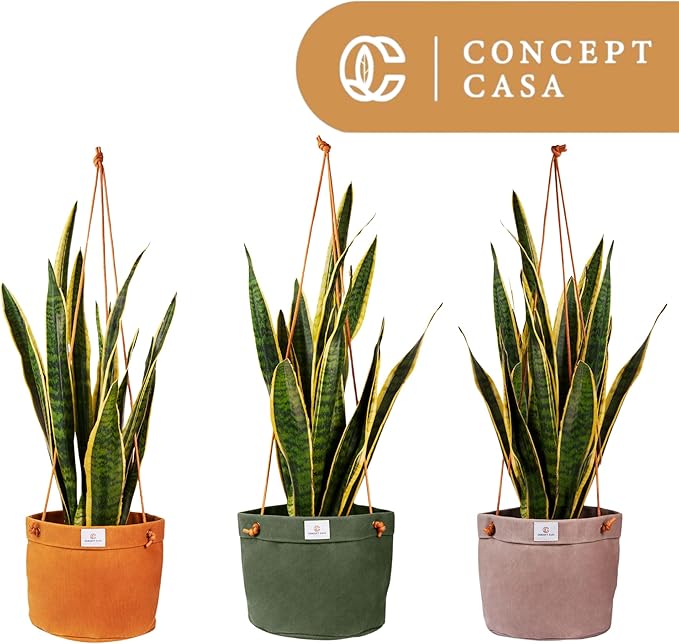 Large Waxed Canvas Handmade Hanging Planter for Indoor/Outdoor Plants, Hanging Basket Plant Holder Stone Gray